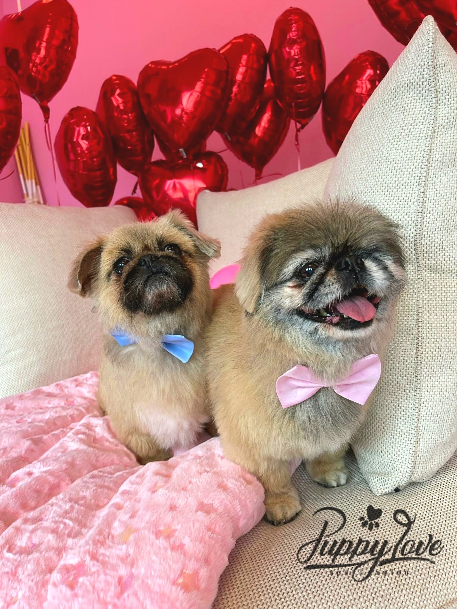valentines-36