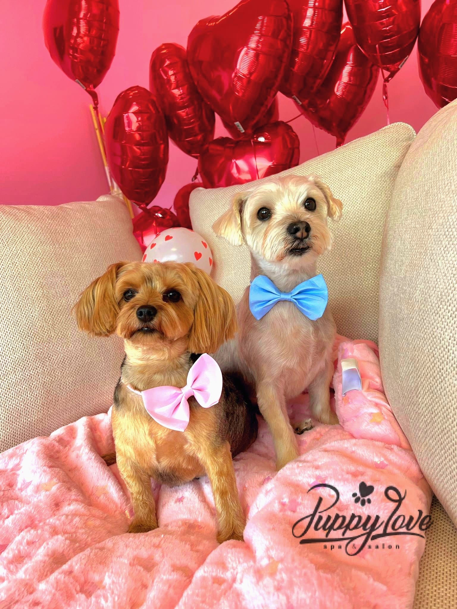 valentines-44