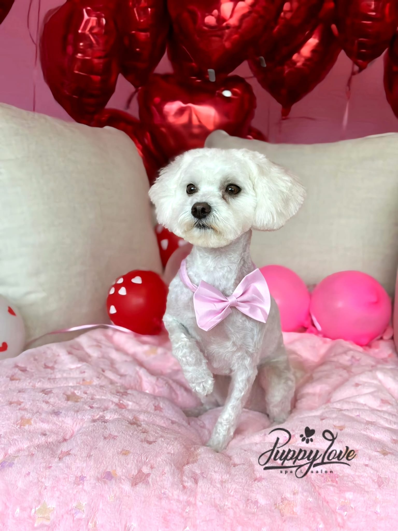 valentines-53