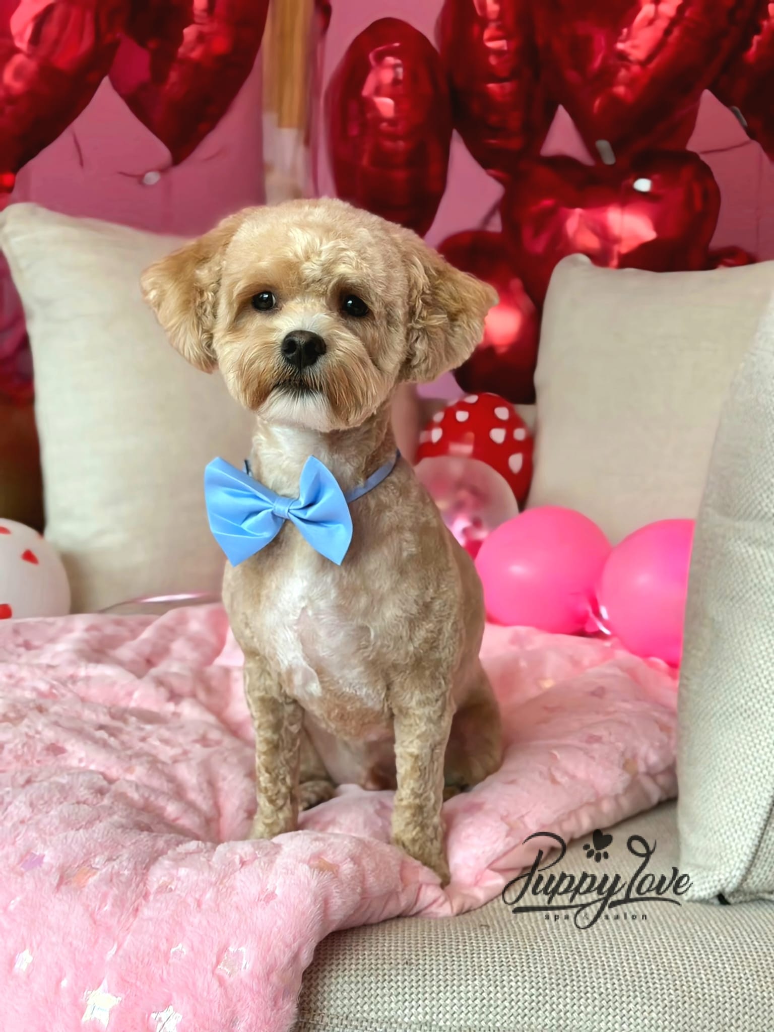valentines-58