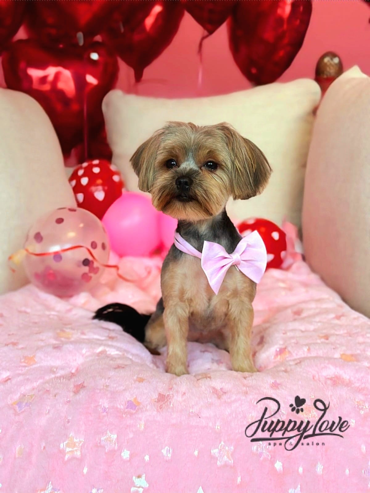 valentines-61