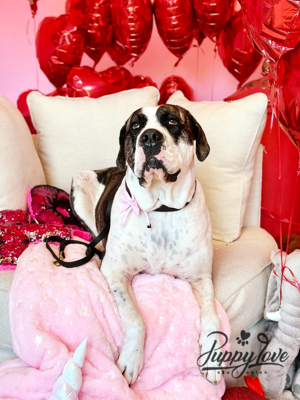 valentines-80