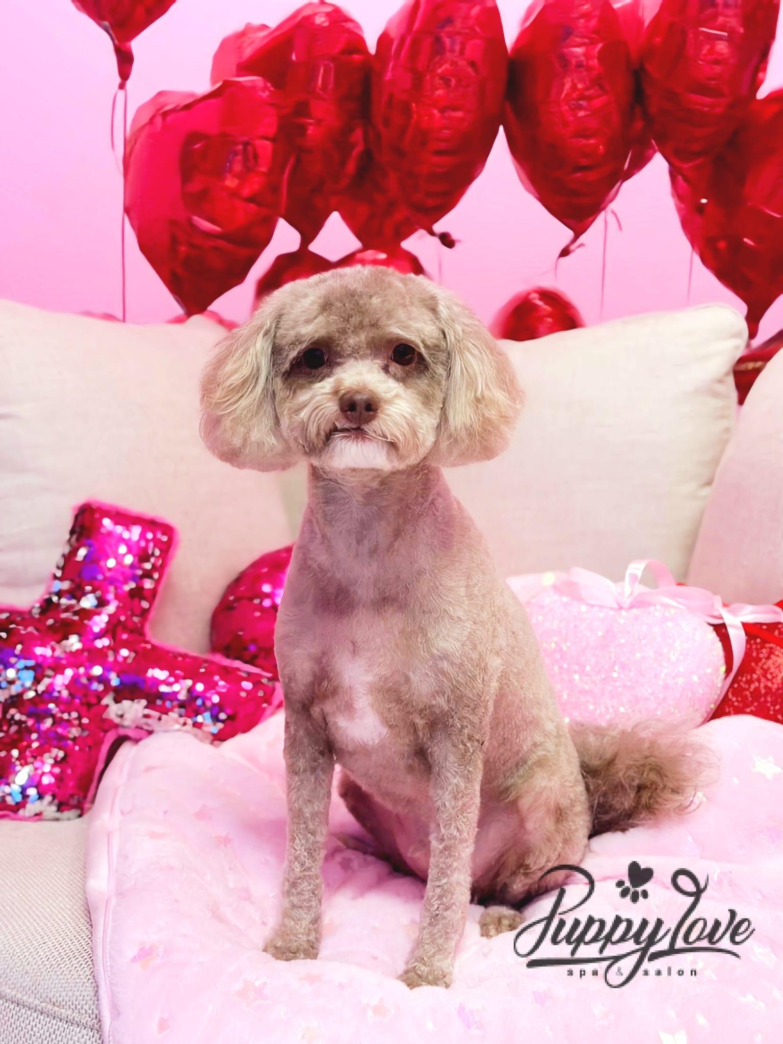 valentines-83