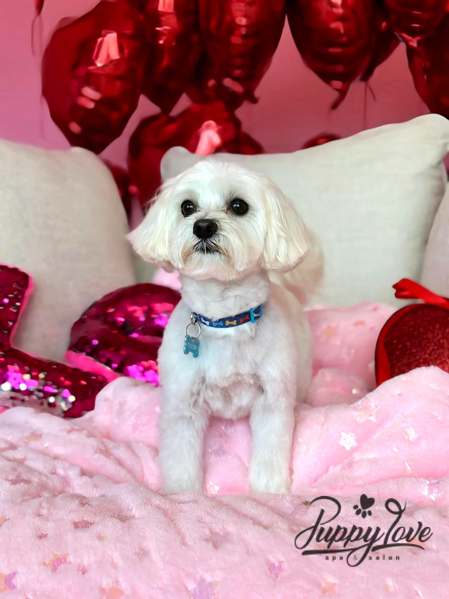 valentines-85