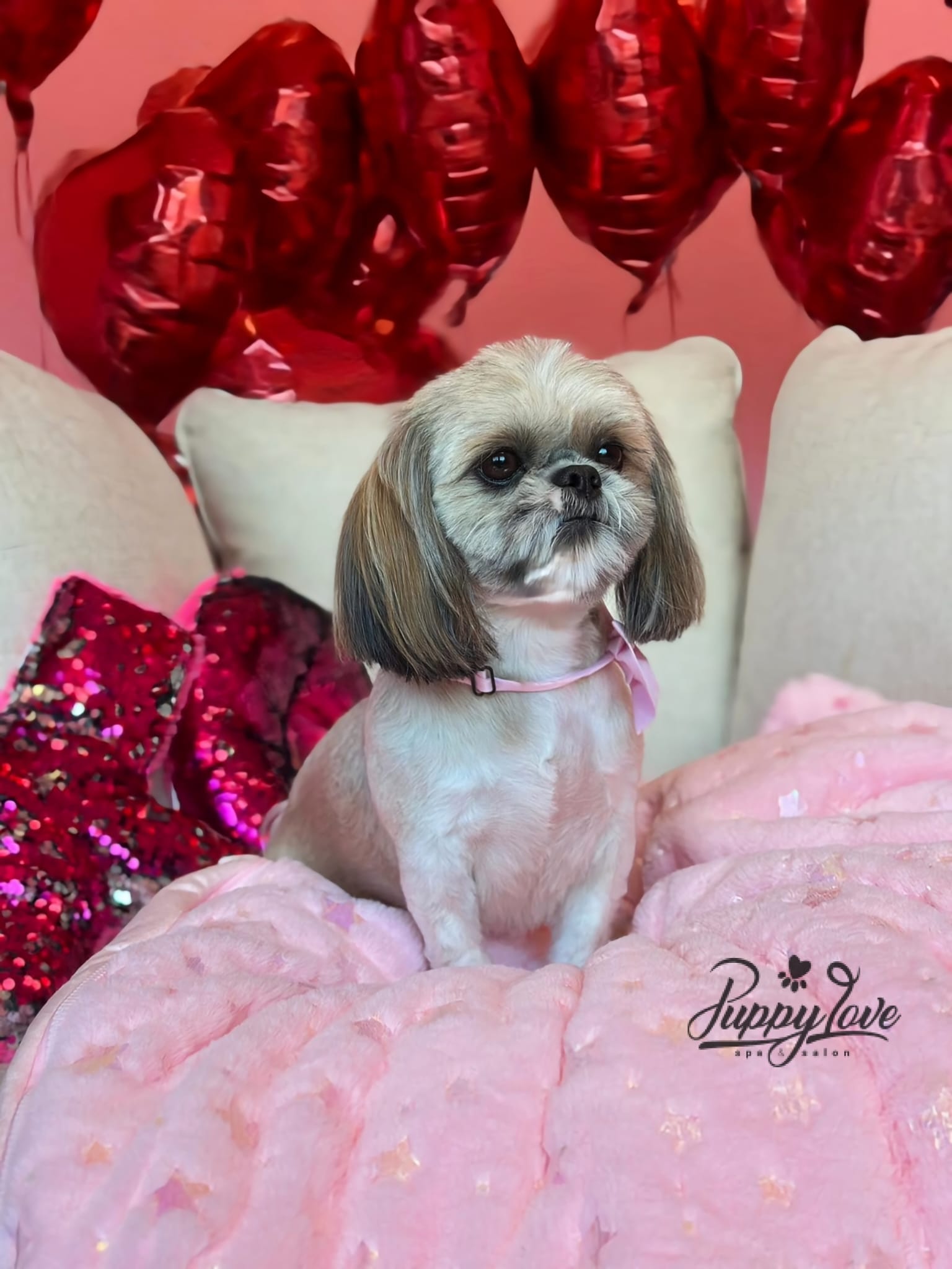 valentines-89
