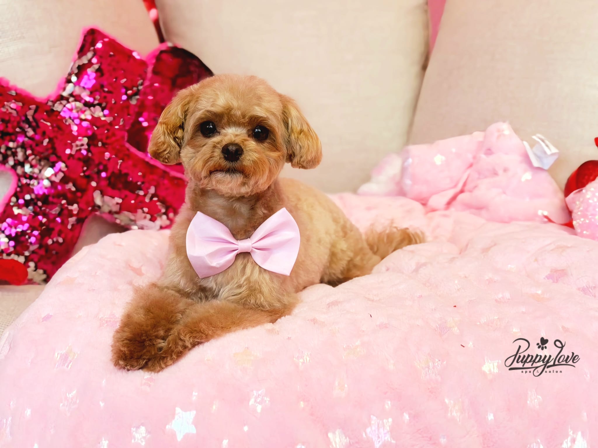 valentines-93