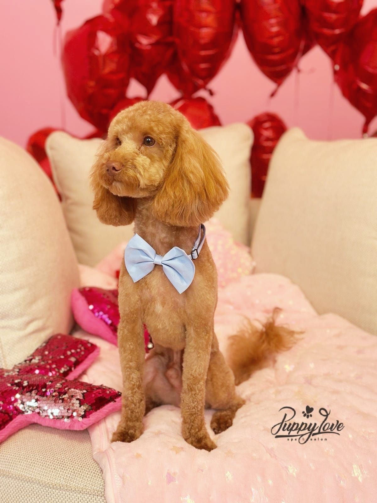 valentines-111