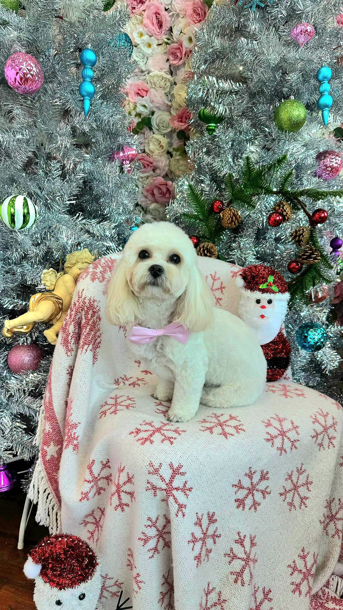 christmas 