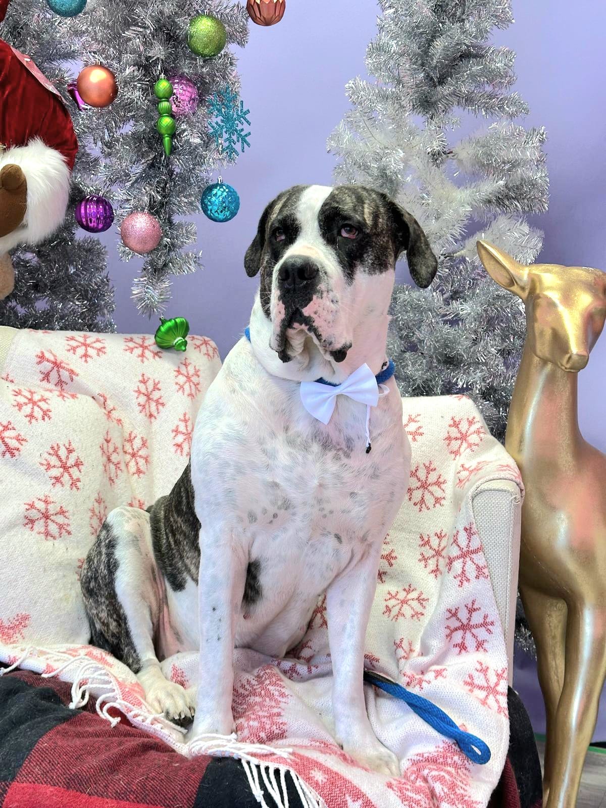 Christmas