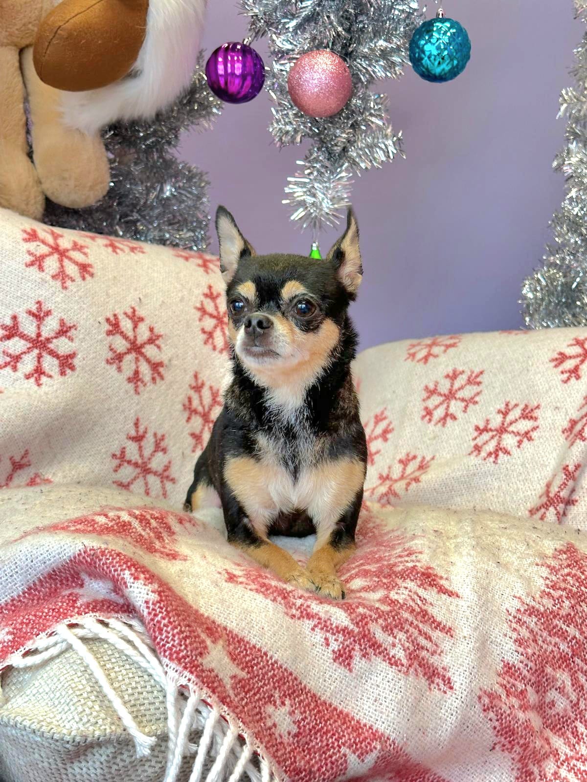 Christmas