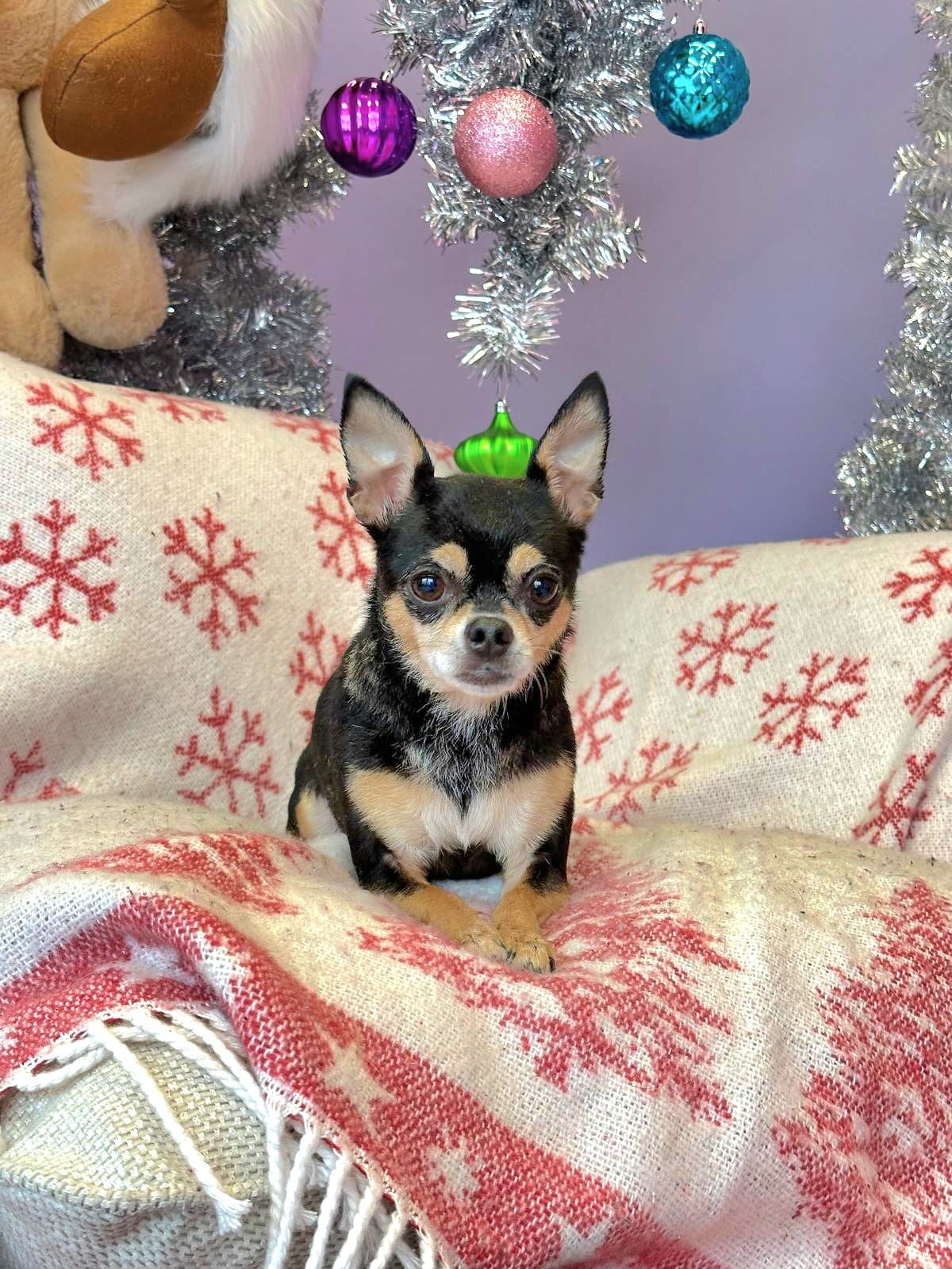 Christmas