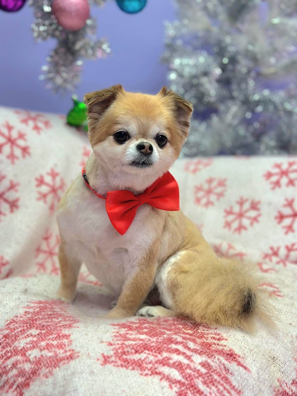Christmas
