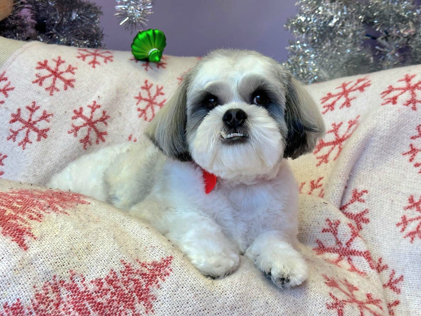 Christmas