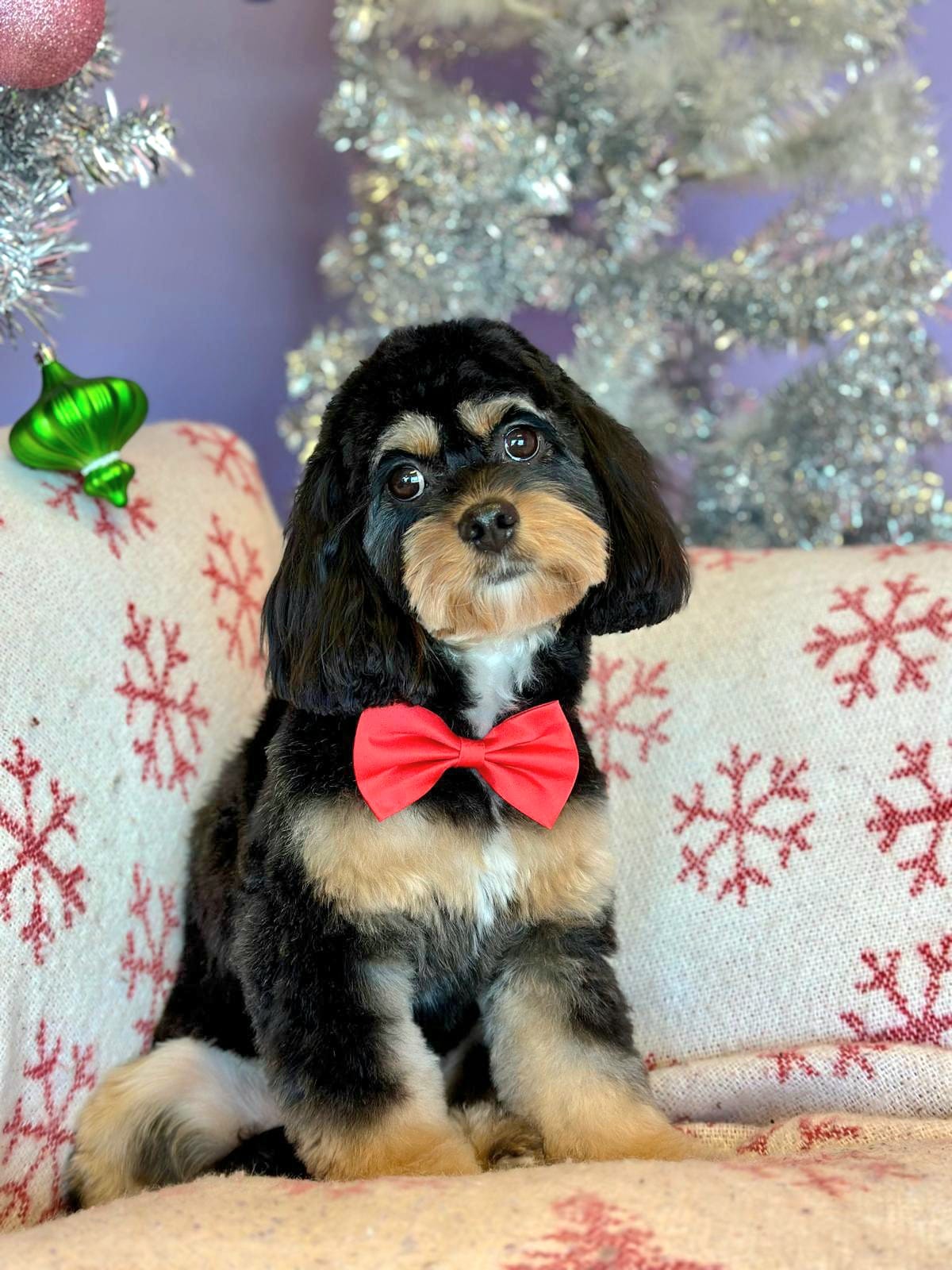Christmas