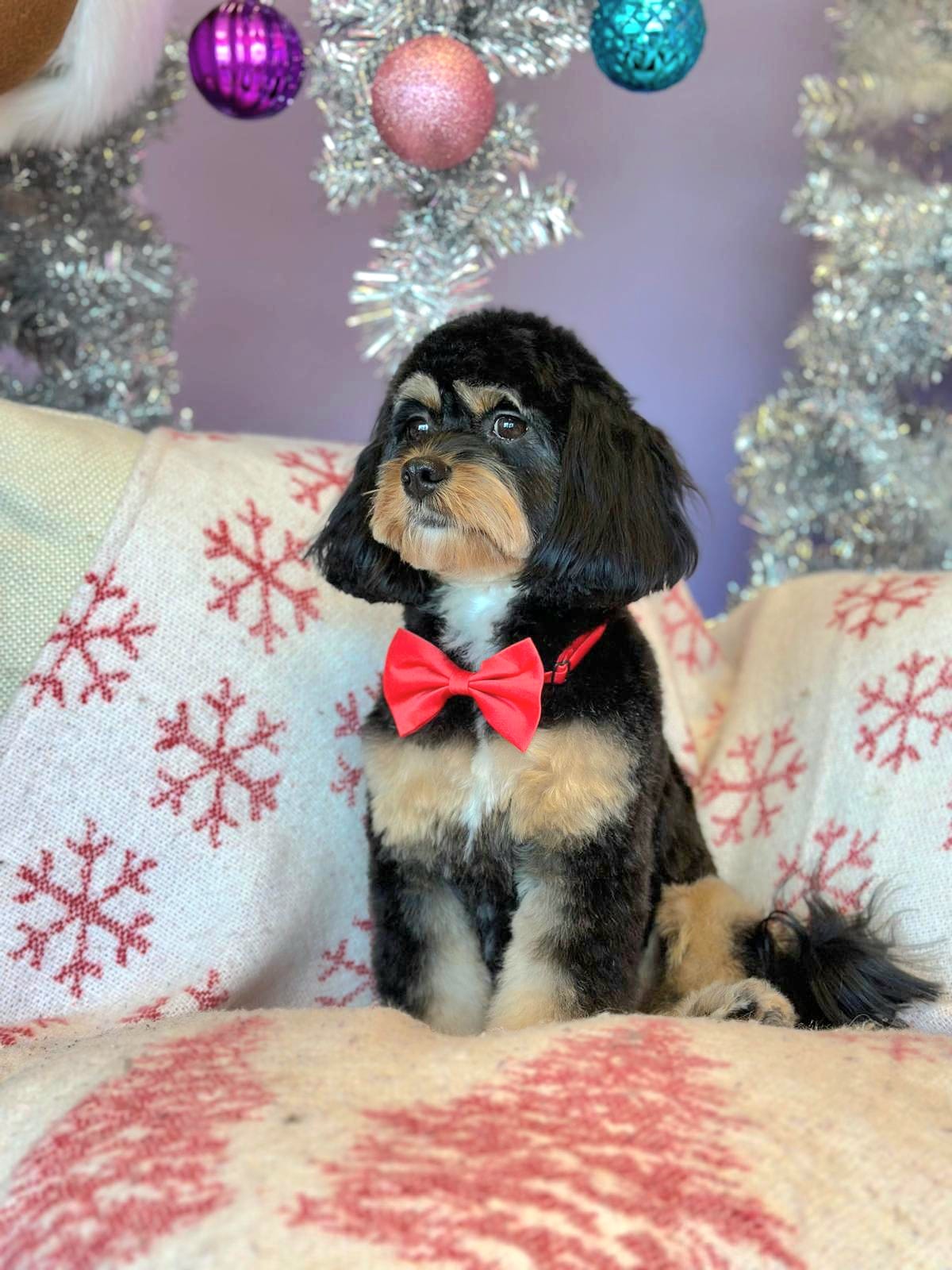 Christmas