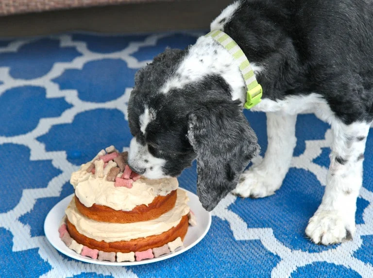 Image for Everything Cake
