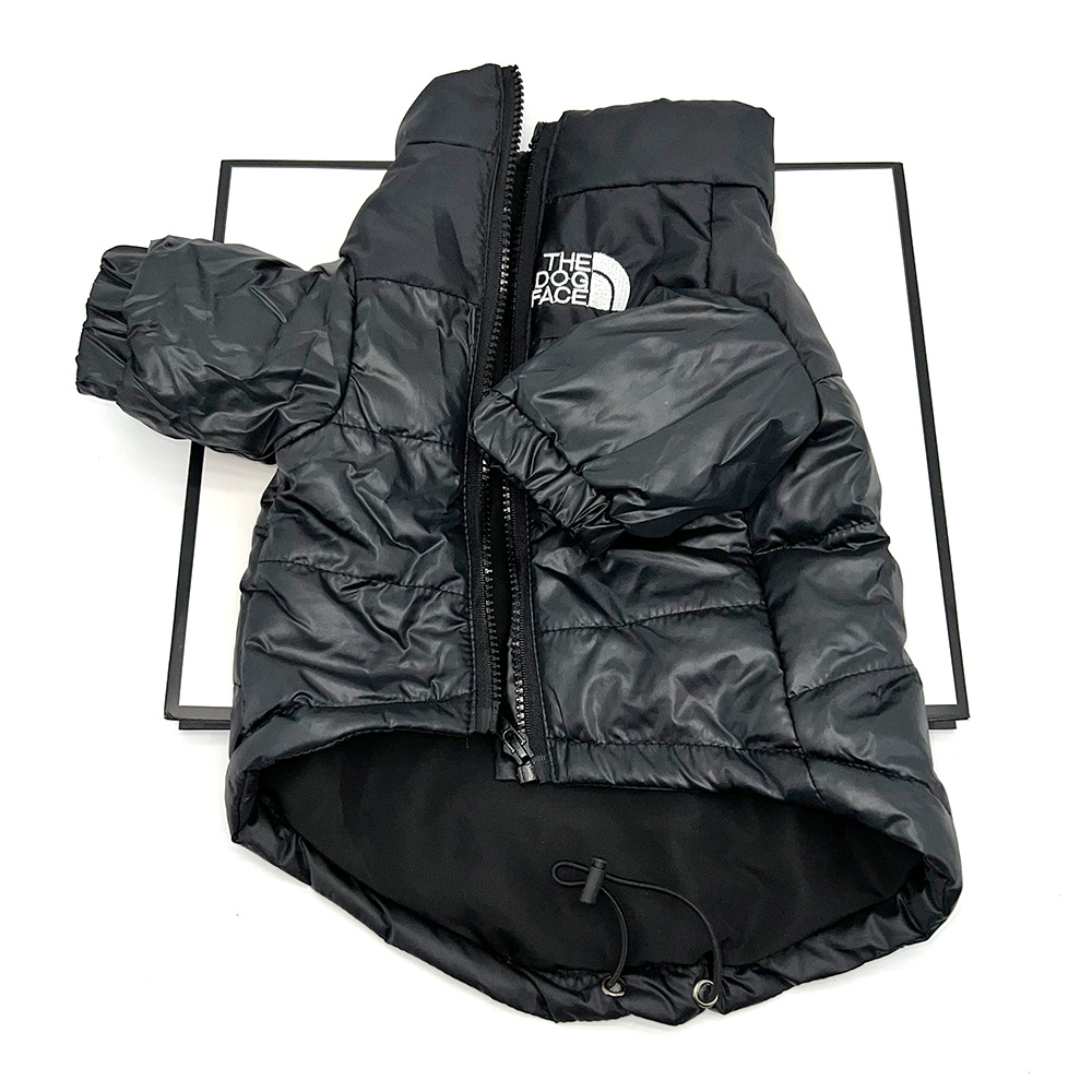 NF Jacket in Orange, Green, & Black Image 2