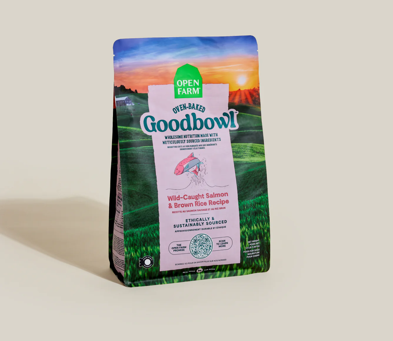 Goodbowl Wild-Caught Salmon & Brown Rice Recipe Dry Dog Food Image 0