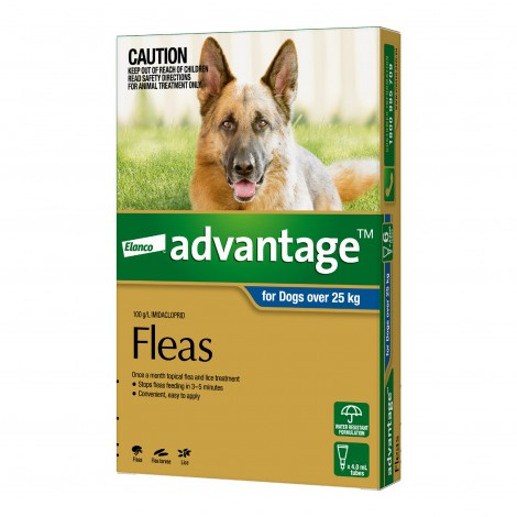 Image for Advantage Extra Large Dog Blue