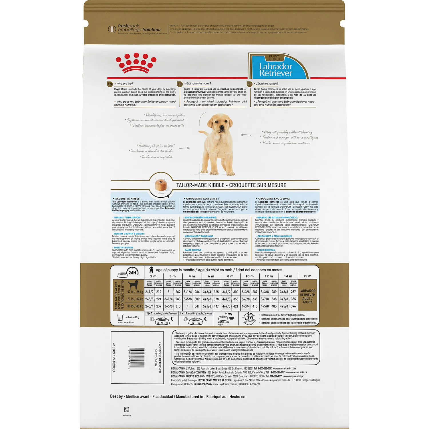 Labrador Retriever Puppy Dry Dog Food  Image 1
