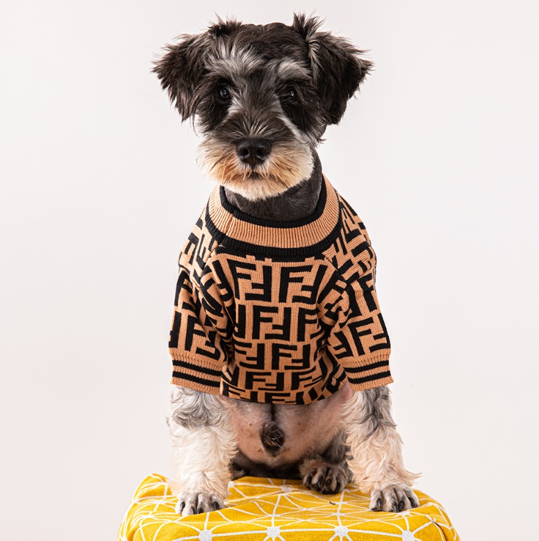 FF Brown Sweater Image 1