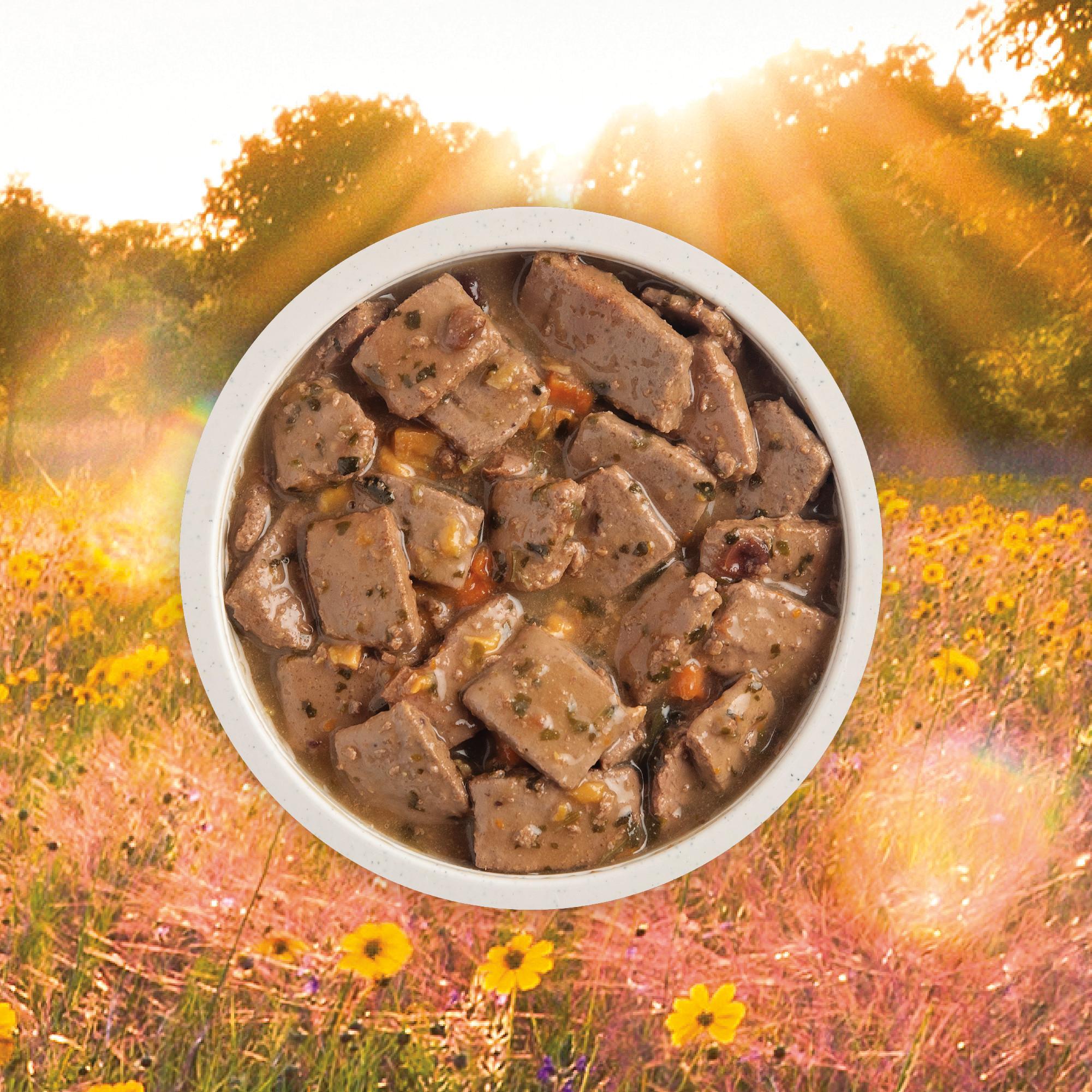 ACANA Premium Chunks - Pork Recipe in Bone Broth Image 2