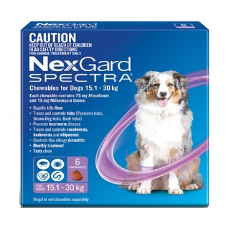 Image for Nexgard Spectra Purple Large Dog