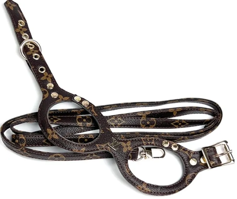 Luxury Monogram Pet Harness & Leash Set (LV-Inspired) Image