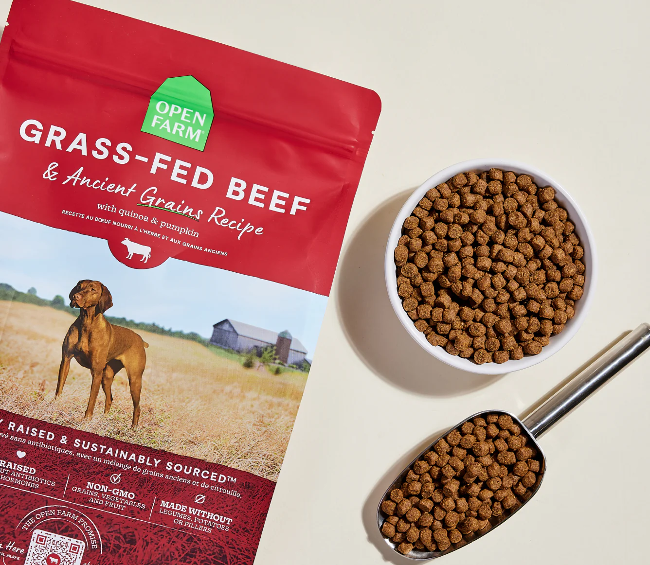 Grass-Fed Beef & Ancient Grains Dry Dog Food Image 1