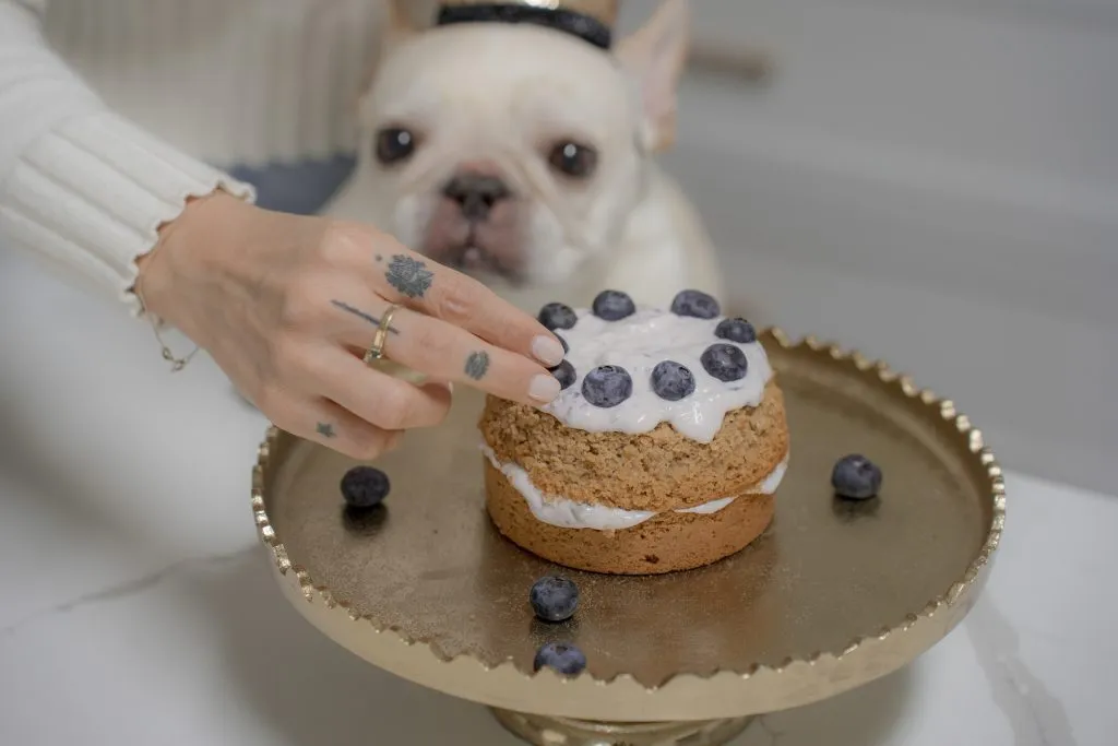 Blueberry cake Image 0