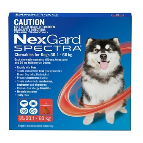 Nexgard Spectra Red Extra Large Dog Image