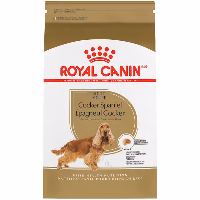 Cocker Spaniel Adult Dog Food Image 0
