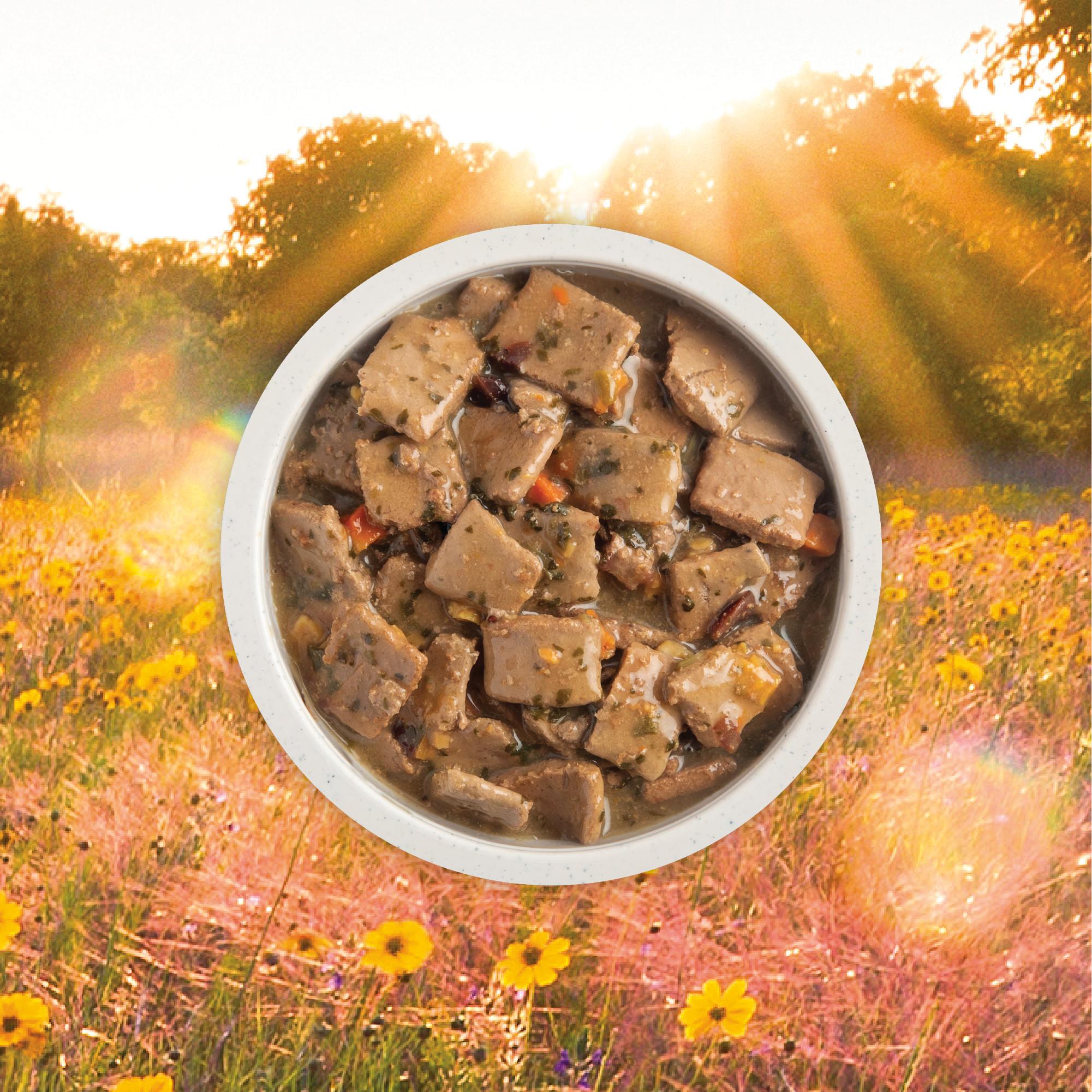 ACANA Premium Chunks - Duck Recipe in Bone Broth Image 2