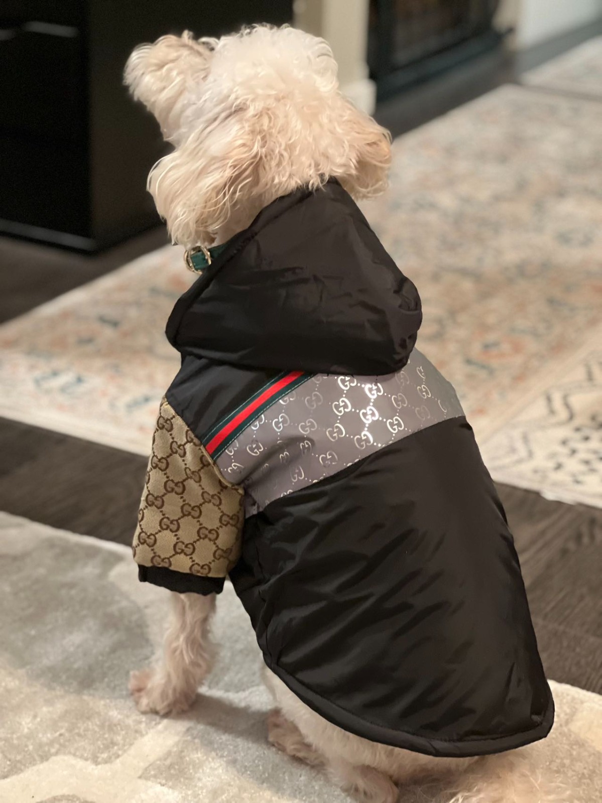 GG Jacket with Hood White & Black Image 4