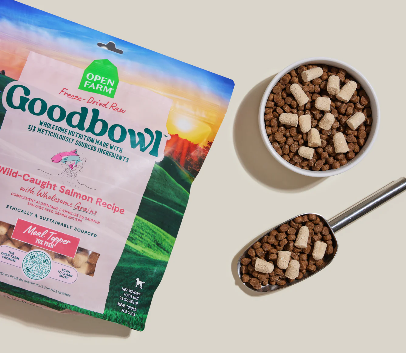 Goodbowl Wild-Caught Salmon Recipe with Wholesome Grains Freeze-Dried Raw Dog Food Image 1