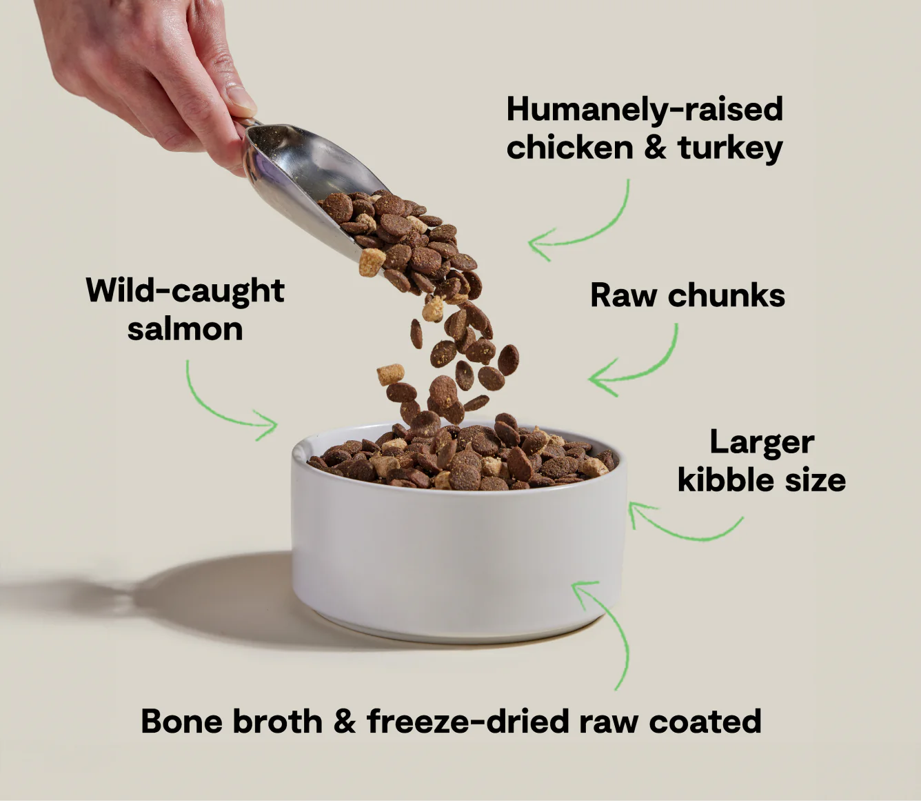 RawMix Large Breed Recipe with Ancient Grains Dry Dog Food Image 2