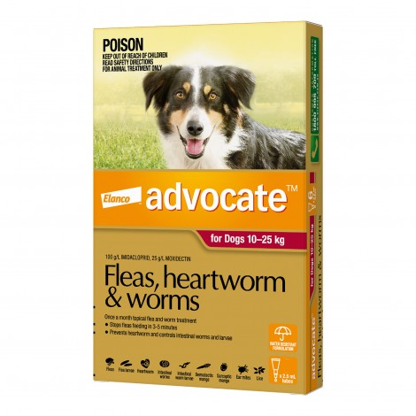 Image for Advocate Large Dog Red