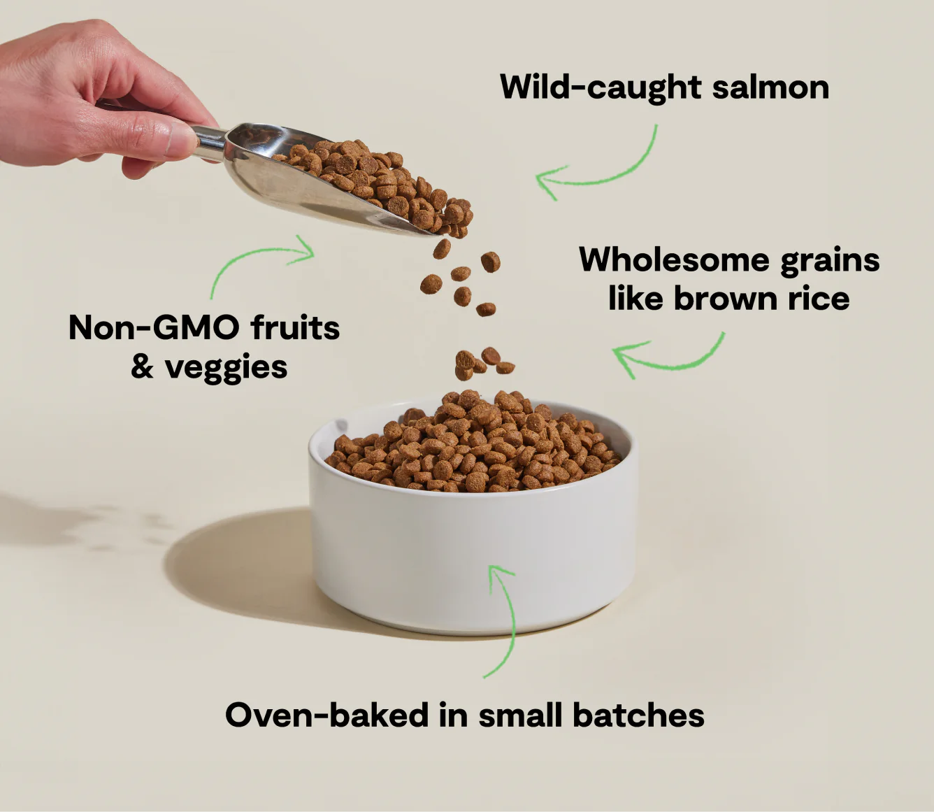 Goodbowl Wild-Caught Salmon & Brown Rice Recipe Dry Dog Food Image 2