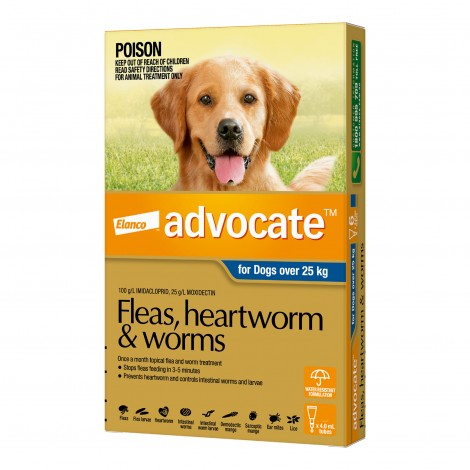 Image for Advocate Extra Large Dog Blue