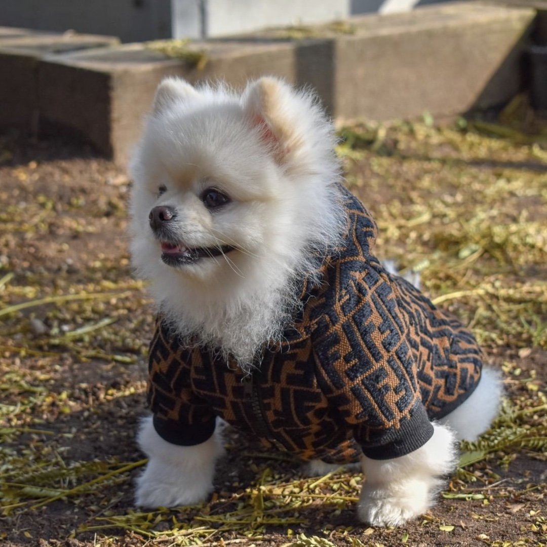 FD Jacket Image 1