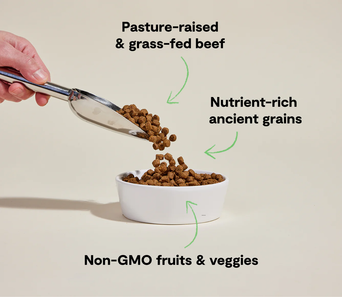 Grass-Fed Beef & Ancient Grains Dry Dog Food Image 2