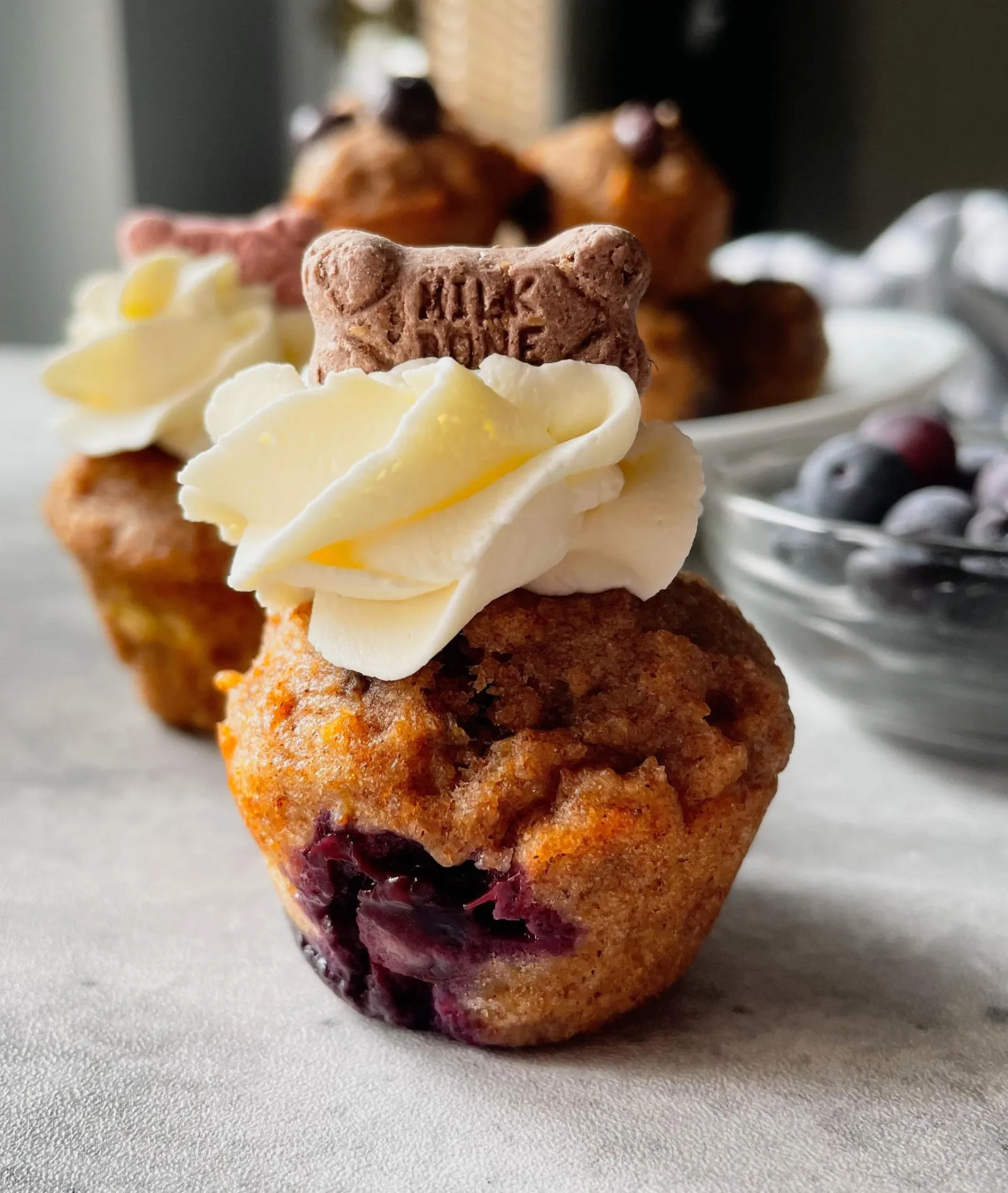 Blueberry pupcakes Image