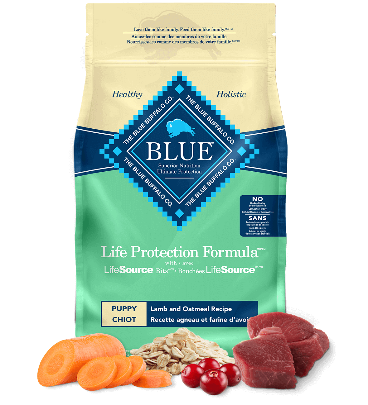 Life Protection Puppy Dog Lamb Image
