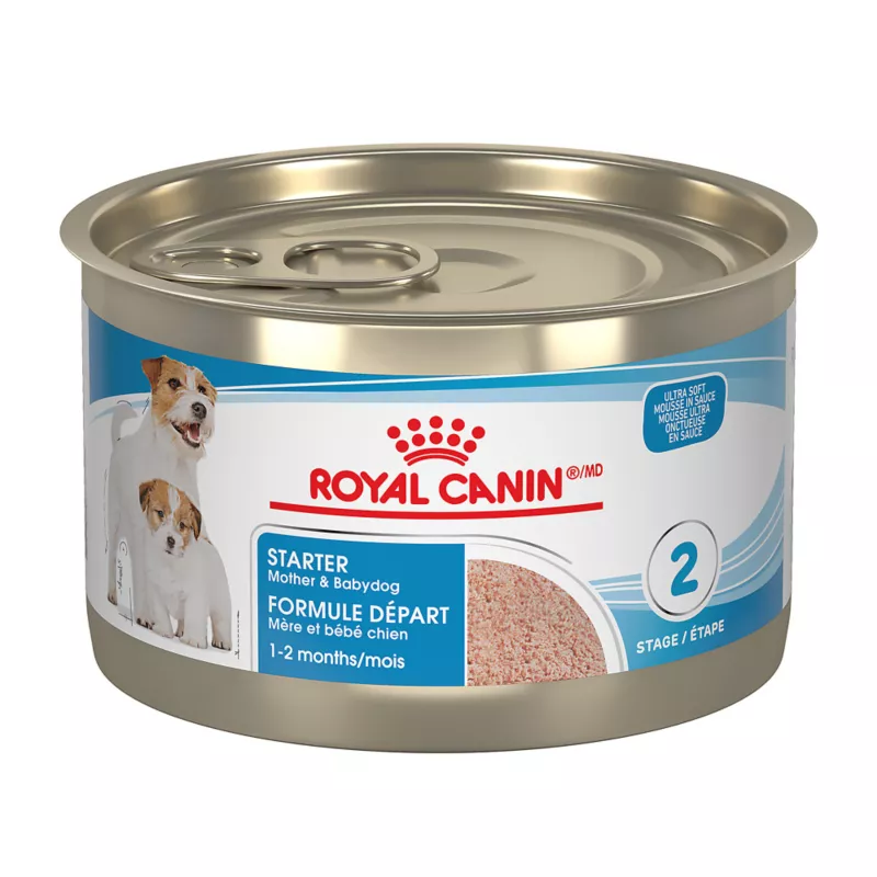 Health Nutrition Starter Mousse Dog Image