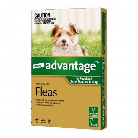 Image for Advantage Small Dogs & Puppies Green