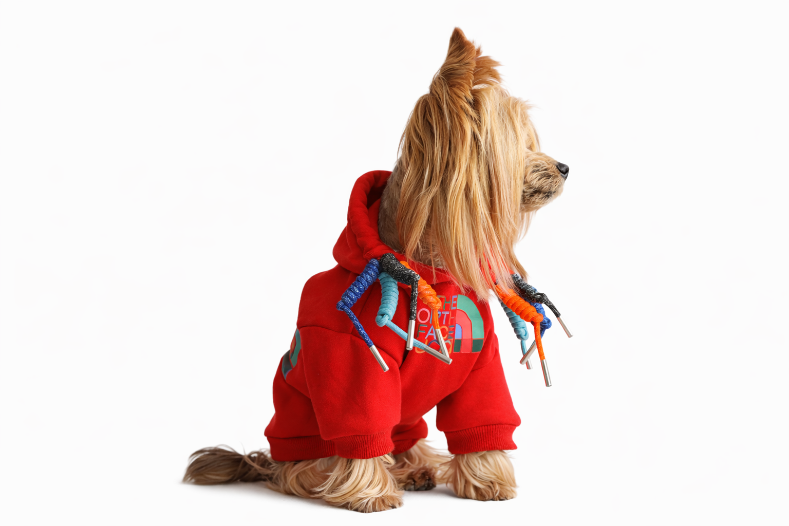 Luxury "North Face x Gucci-Style" Pet Hoodie Image 0