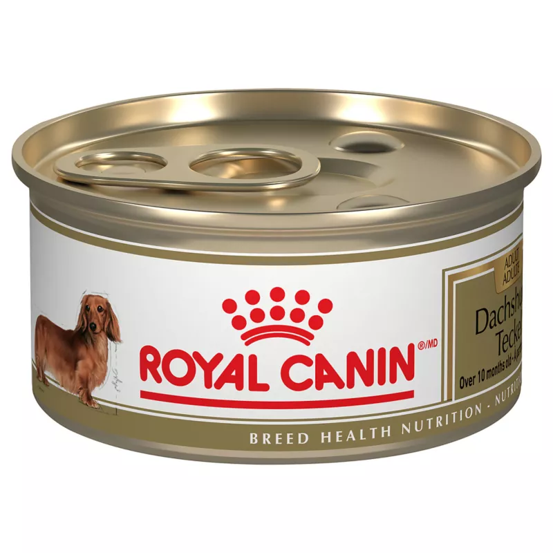 Dachshund Adult Canned Wet Food Image