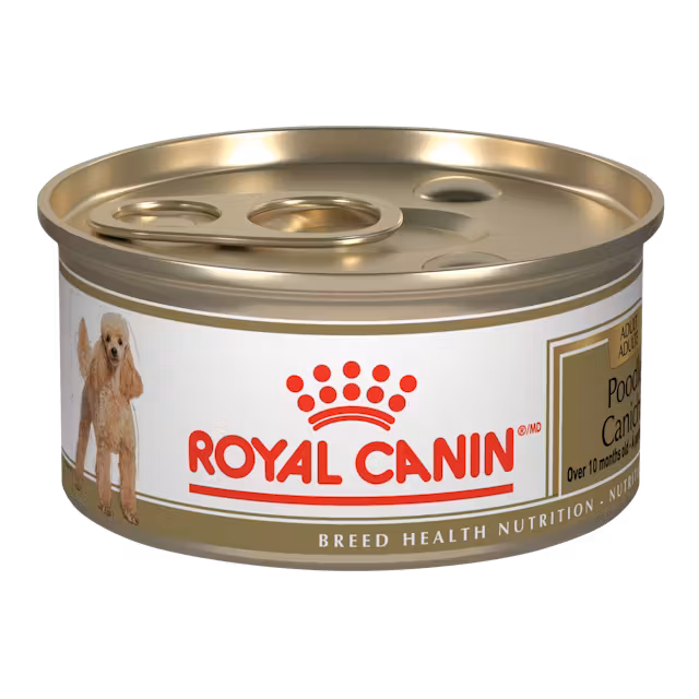Poodle Adult Canned Wet Food Image