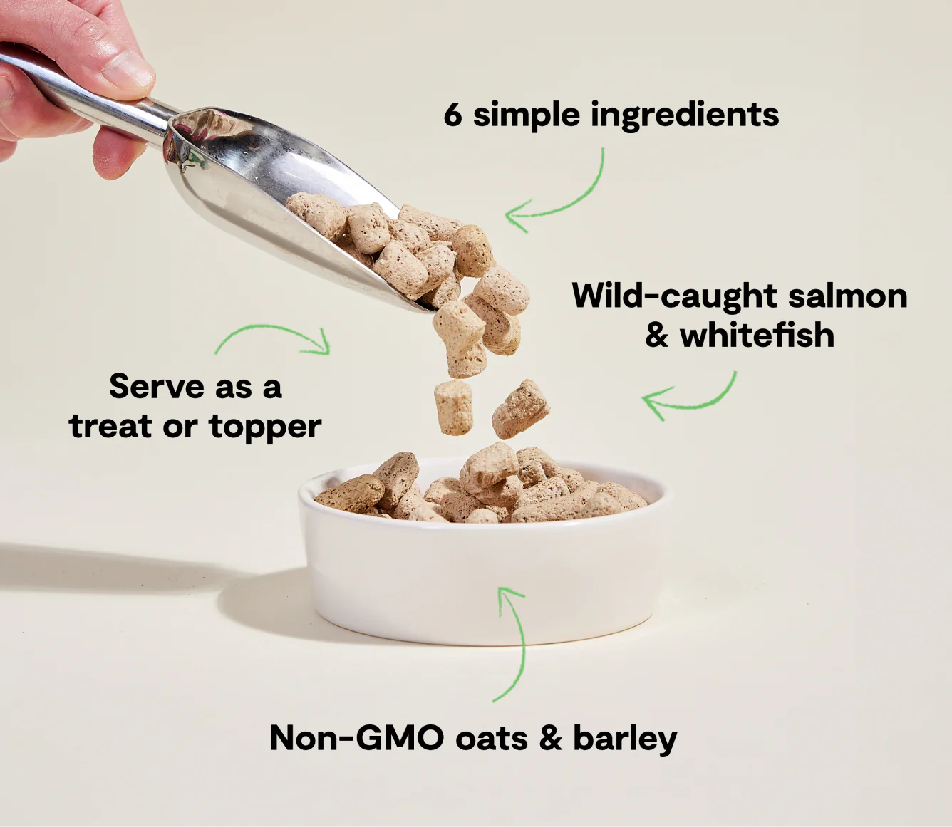 Goodbowl Wild-Caught Salmon Recipe with Wholesome Grains Freeze-Dried Raw Dog Food Image 2