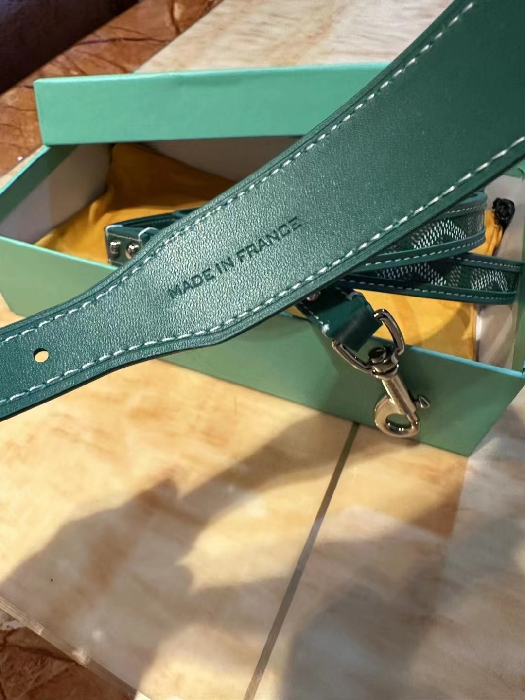 Green Collar and Leash Image 2